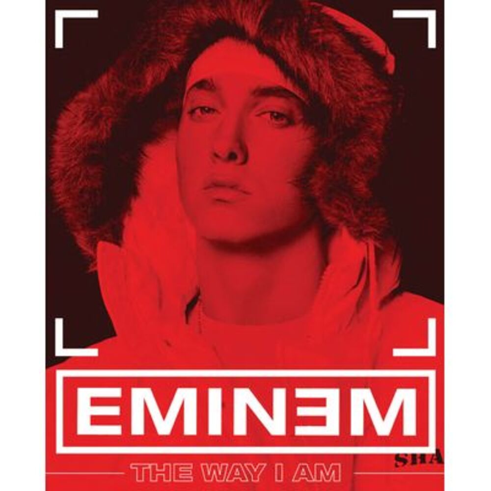 The Way I Am -- Eminem